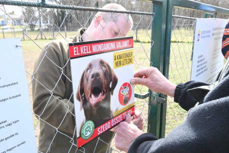 Szedd össze Te is! - Fehérvár is csatlakozott Kutyabarát kampányához